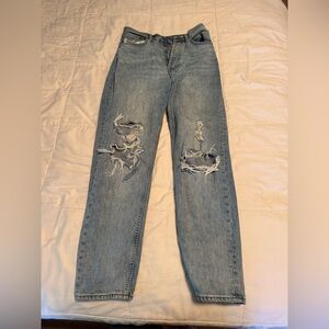 Aritzia Denim Forum Sky Blue Jeans